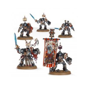 Grey Knights Paladins A078