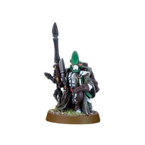 Eldar Ranger Kneeling Observings A102
