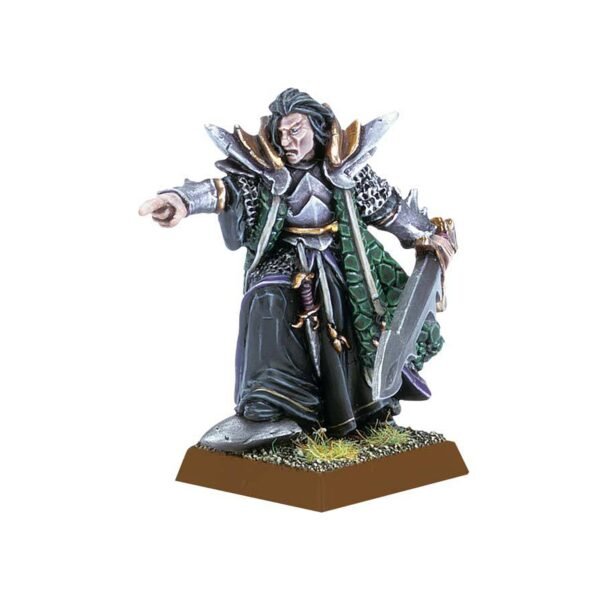 Dark Elf Dreadlord with Hand Weapon B251